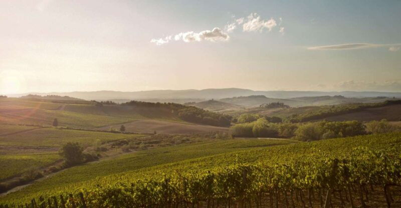 chianti-classico-and-super-tuscan-wine-tour