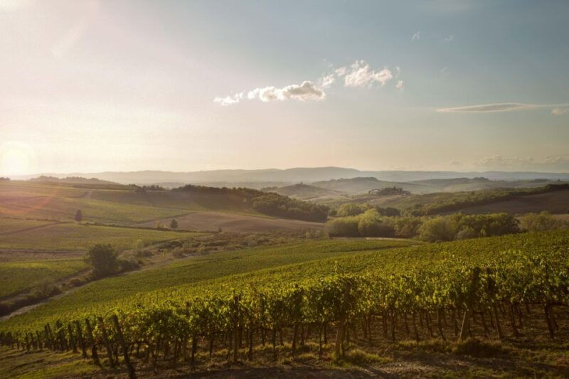 chianti-classico-and-super-tuscan-wine-tour