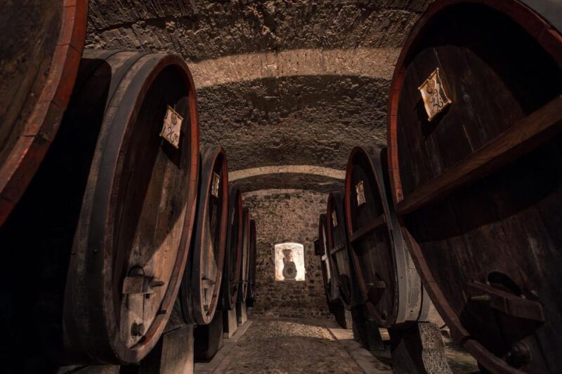 chianti-classico-e-bike-tour-with-lunch-and-tastings