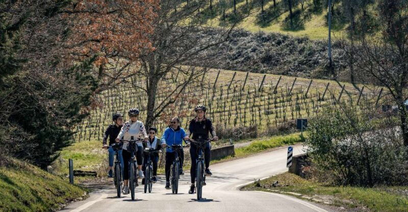 chianti-classico-e-bike-tour-with-lunch-and-tastings