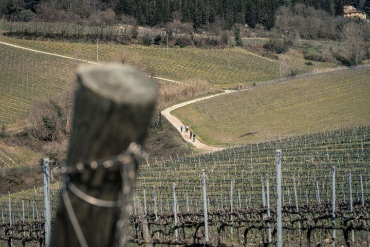 chianti-classico-e-bike-tour-with-lunch-and-tastings