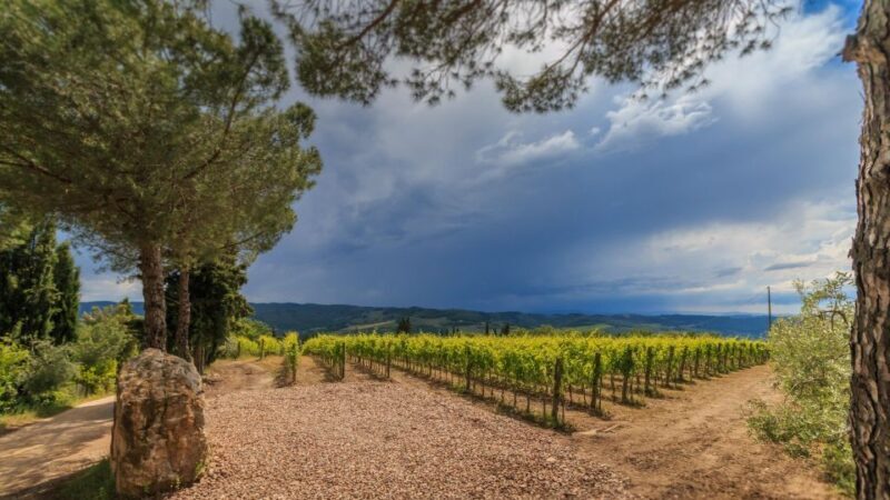 Chianti Classico Wines with seasonal farmers dishes - FAQs