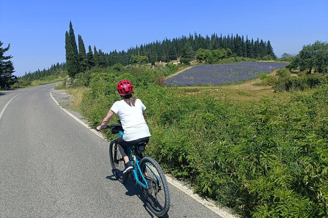 chianti-e-bike-tour-from-florence-with-wine-tasting