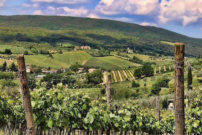 chianti-eno-excursion-through-the-vineyards