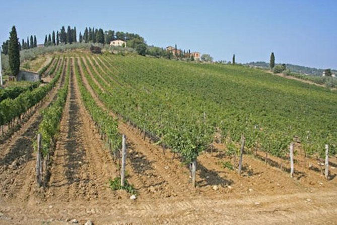 chianti-experience-shore-excursion-from-livorno-port