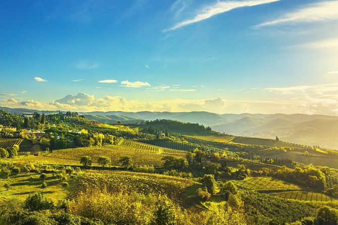 chianti-experience-shore-excursion-from-livorno-port