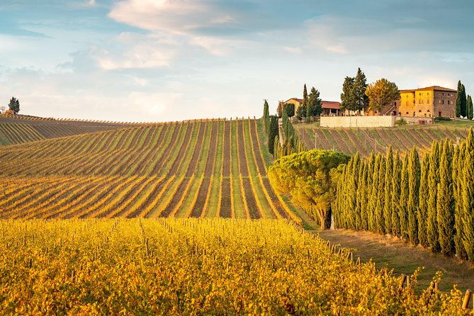 chianti-experience-shore-excursion-from-livorno-port