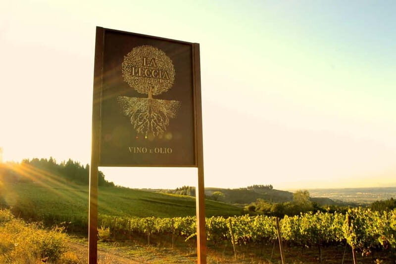 Chianti: Fattoria La Leccia - Guided Visit and Tasting - Practical Details and Considerations