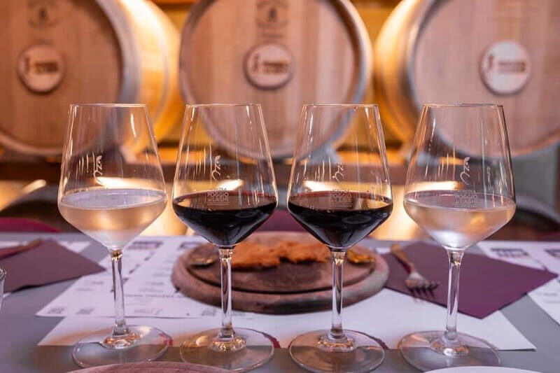 Chianti Grand Tasting: Wines, Oils & Balsamics in the Cellar - The Sum Up