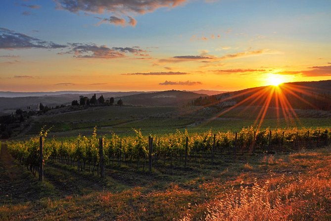 chianti-half-day-wine-tour-in-the-tuscans-hills-from-pisa