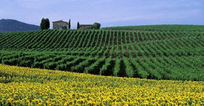 chianti-half-day-wine-tour-included-meal-tasting-5hrs