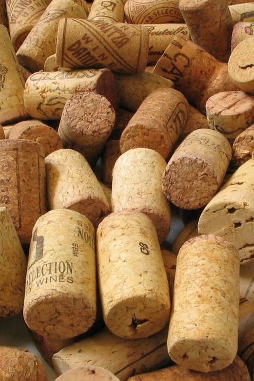 chianti-half-day-wine-tour-included-meal-tasting-5hrs