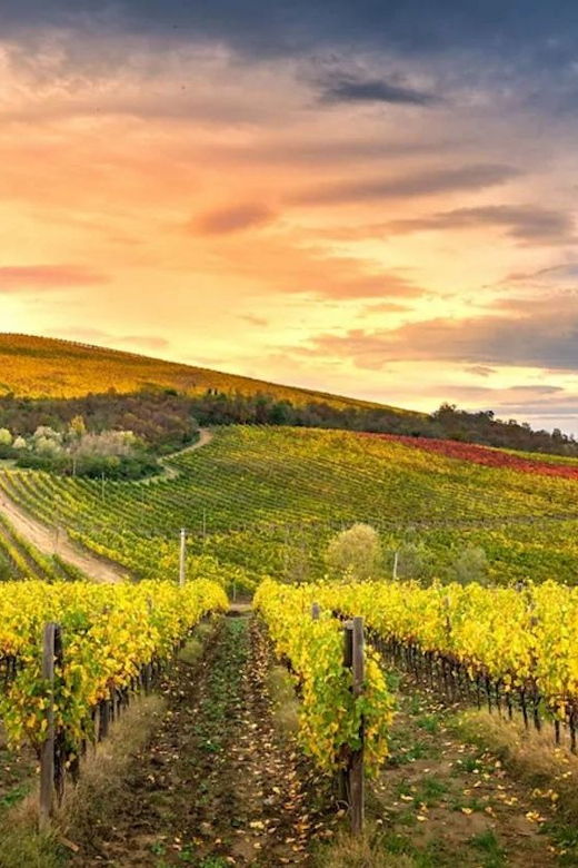 chianti-helicopter-flight-tour
