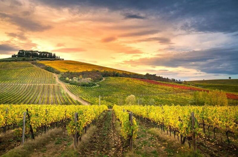 chianti-helicopter-flight-tour