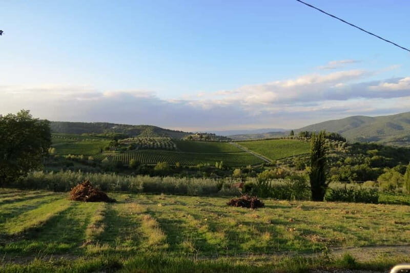 Chianti Hills: AppGuided eVespa Tour + Lunch in Greve - An In-Depth Look at the Tour Experience