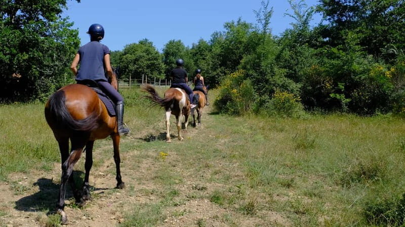 Chianti: Horseback Riding Through Vineyards and Woods - Setting the Scene: What to Expect