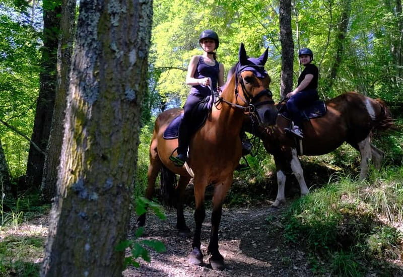Chianti: Horseback Riding Through Vineyards and Woods - Practical Details: Cost, Duration, and What’s Included