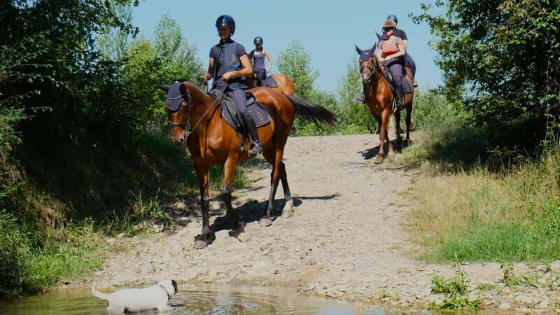 Chianti: Horseback Riding Through Vineyards and Woods - Why We Think It’s Worth Considering