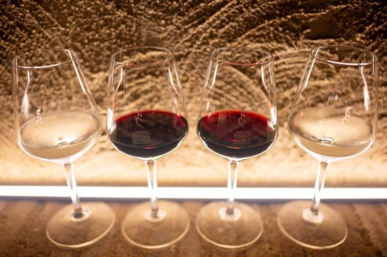 chianti-lunch-with-wine-tasting-at-poggio-ai-laghi-winery-3