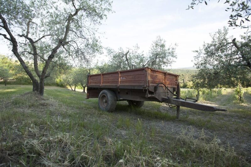 chianti-organic-wine-tasting