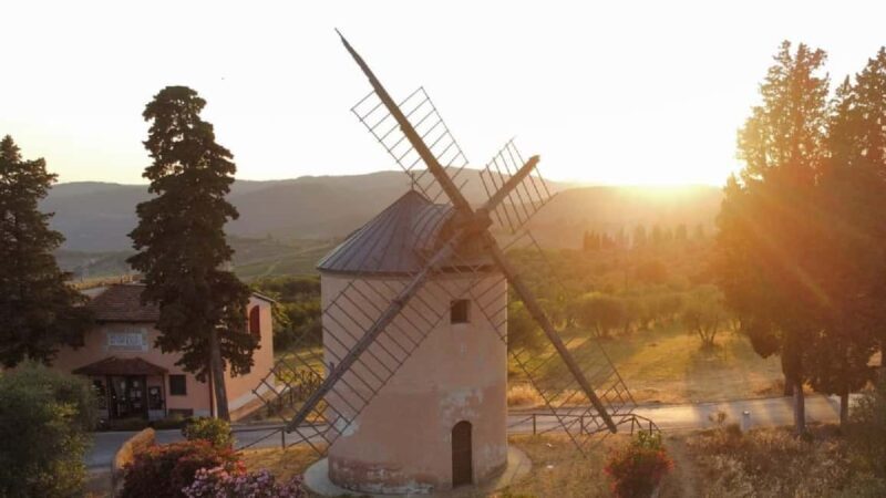 Chianti Rufina: Discover the tradition of extra virgin olive oil and organic wines - Key Points