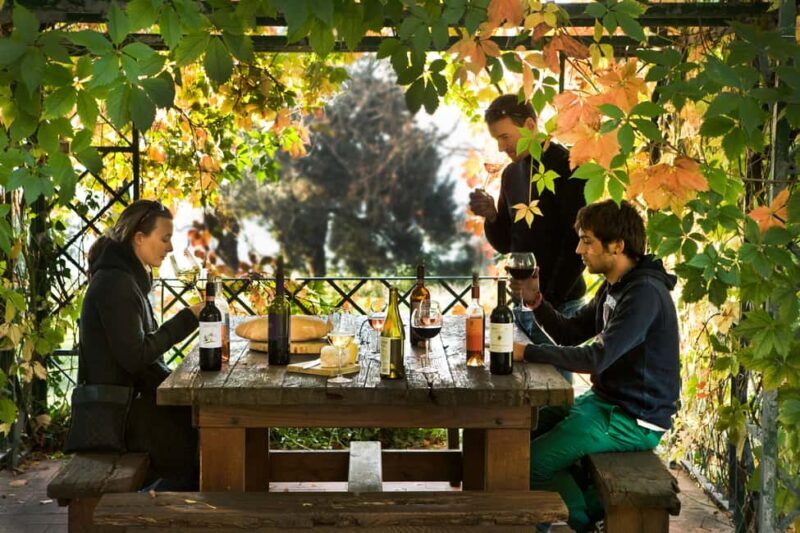 Chianti Rufina: Organic and biodynamic winery tour with tasting - Why This Tour Is Worth It