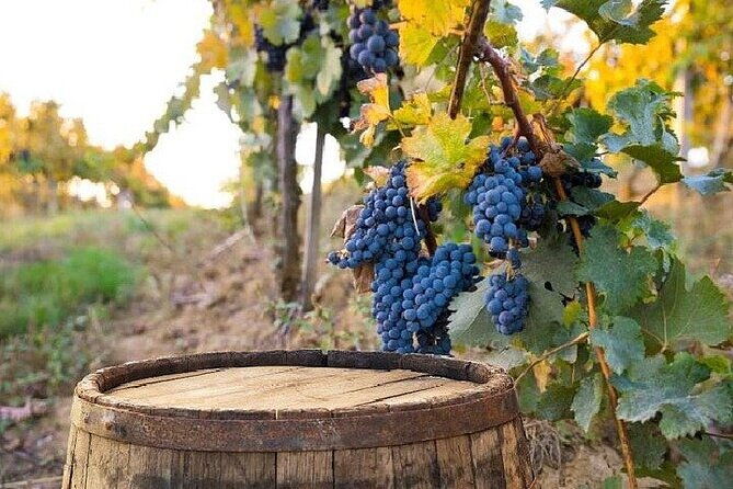 chianti-san-gimignano-and-siena-full-day-trip-with-wine-tastings