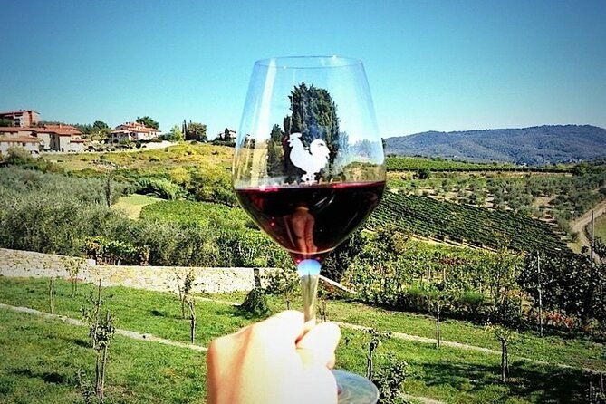 chianti-supertuscan-private-tour-2-wineries-with-light-lunch