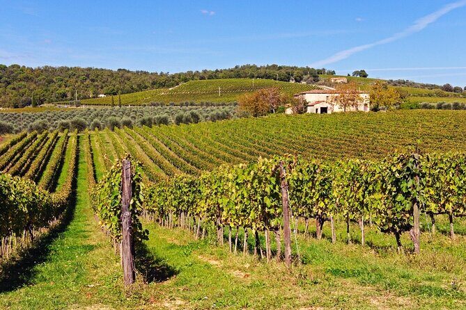 Chianti, SuperTuscan & San Gimignano - 2 wineries and light lunch - Why This Tour Offers Great Value