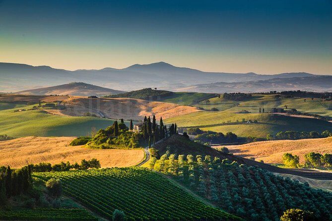 Chianti, SuperTuscan & San Gimignano - 2 wineries and light lunch - The Sum Up