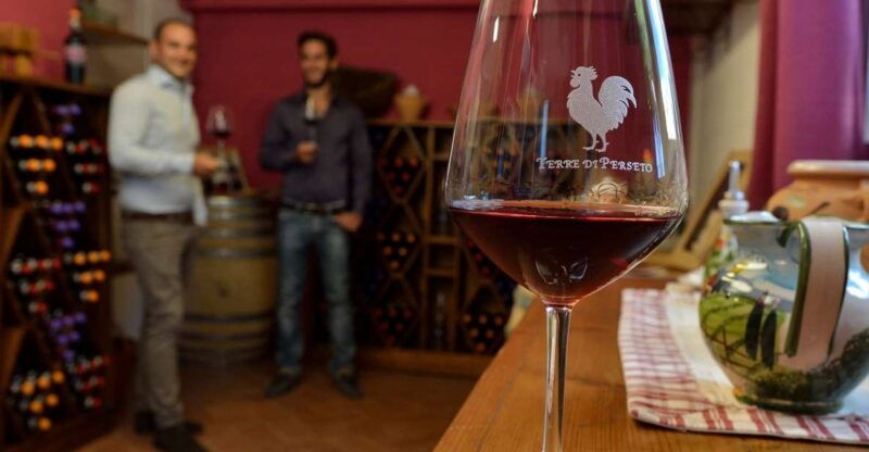 chianti-terre-di-perseto-winery-guided-tasting-tour