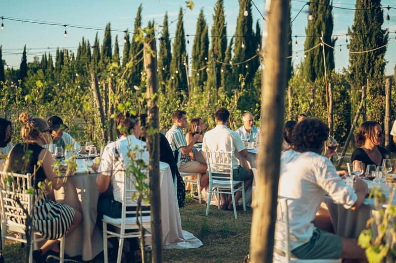 Chianti: Tuscan Vineyard Dinner with Wine Tasting - Key Points