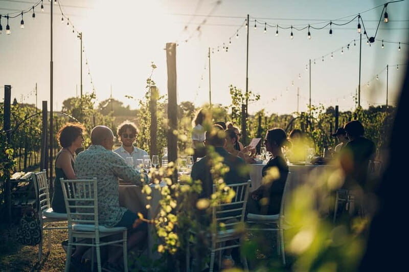 Chianti: Tuscan Vineyard Dinner with Wine Tasting - What to Expect: Benefits and Considerations