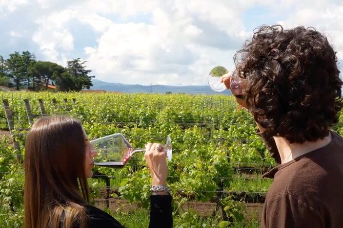 chianti-vineyards-small-group-tour-with-wine-tasting-dinner