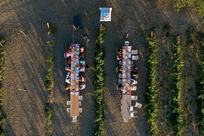 chianti-vineyards-small-group-tour-with-wine-tasting-dinner