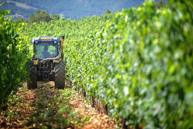 chianti-vineyards-tours-in-private-luxury-van-from-florence