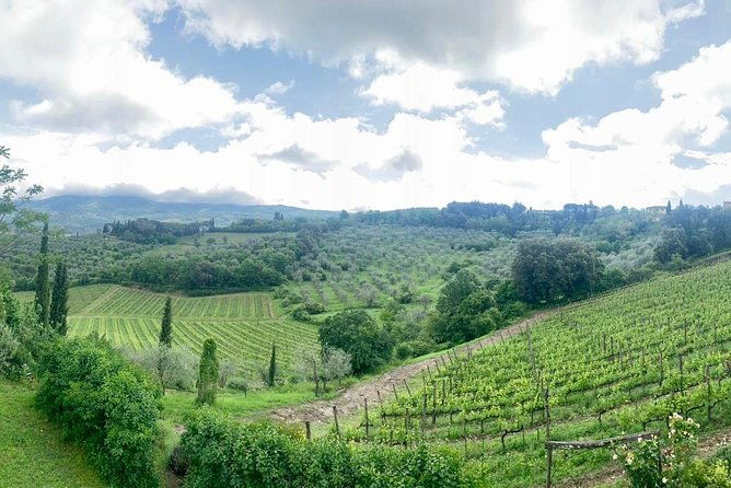 chianti-vineyards-tours-in-private-luxury-van-from-florence