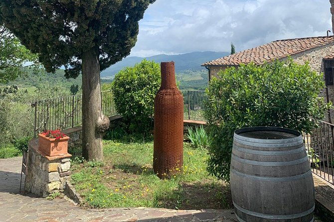 chianti-vineyards-tours-in-private-luxury-van-from-florence