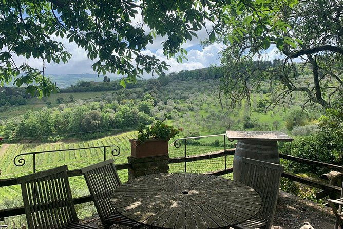 chianti-vineyards-tours-in-private-luxury-van-from-florence