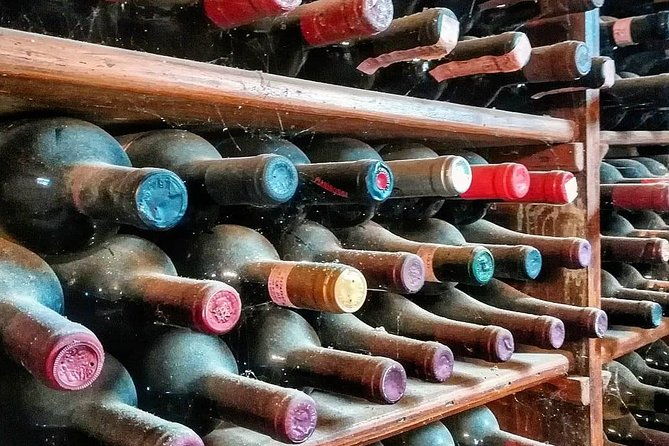 chianti-vineyards-tours-in-private-luxury-van-from-florence