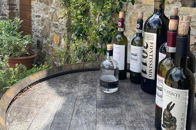 chianti-vineyards-tours-in-private-luxury-van-from-florence