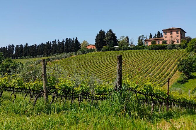 chianti-wine-tasting-at-3-wineries-and-a-tuscan-lunch