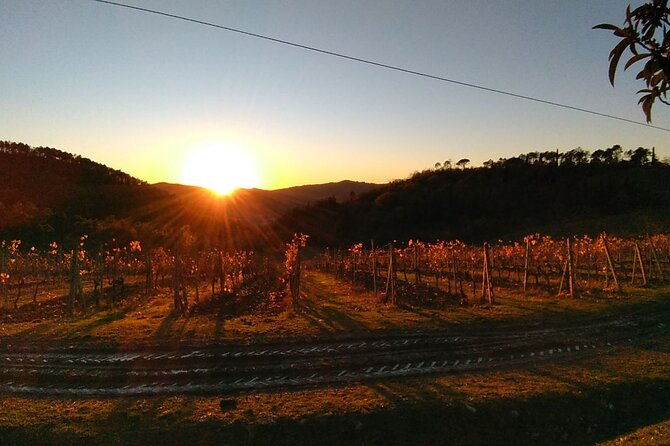 chianti-wine-tastings-at-sunset-day-trip-from-florence