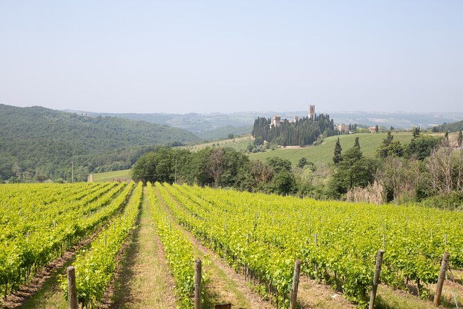 chianti-wine-tastings-at-sunset-day-trip-from-florence