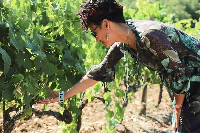Chianti Wine Tour from Florence - The Tour Experience in Detail