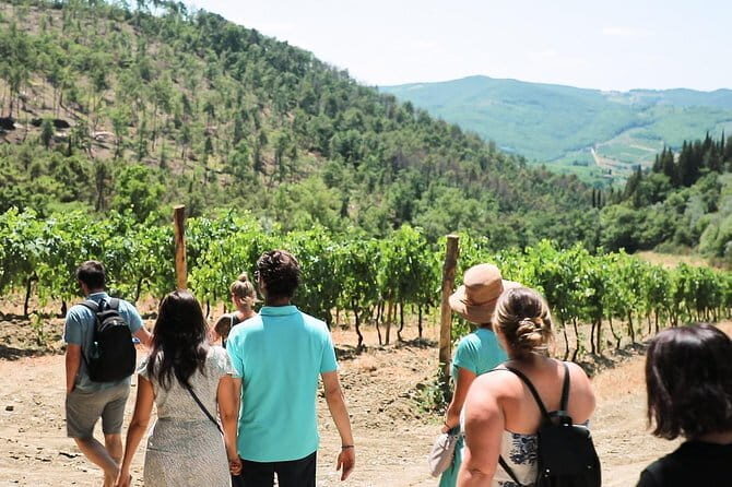 Chianti Wine Tour from Florence - Authenticity & Insights from Reviewers