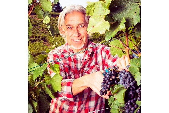 chianti-wine-tour-from-florence-to-san-gimignano-with-2-wineries-2