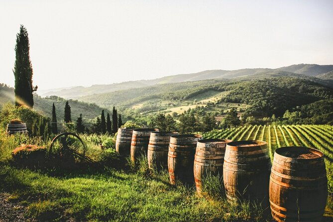 chianti-wine-tour-from-florence-to-san-gimignano-with-2-wineries