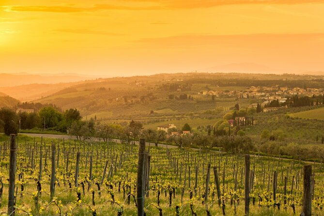 chianti-wine-tour-from-florence-to-san-gimignano-with-2-wineries