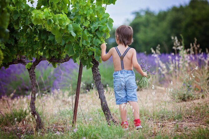 Chianti Wine Tour in Tuscany from Florence - A Detailed Look at the Experience